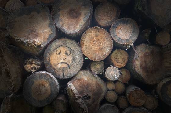 Gestapelte Baumstämme, auf einem davon ein trauriges Gesicht
