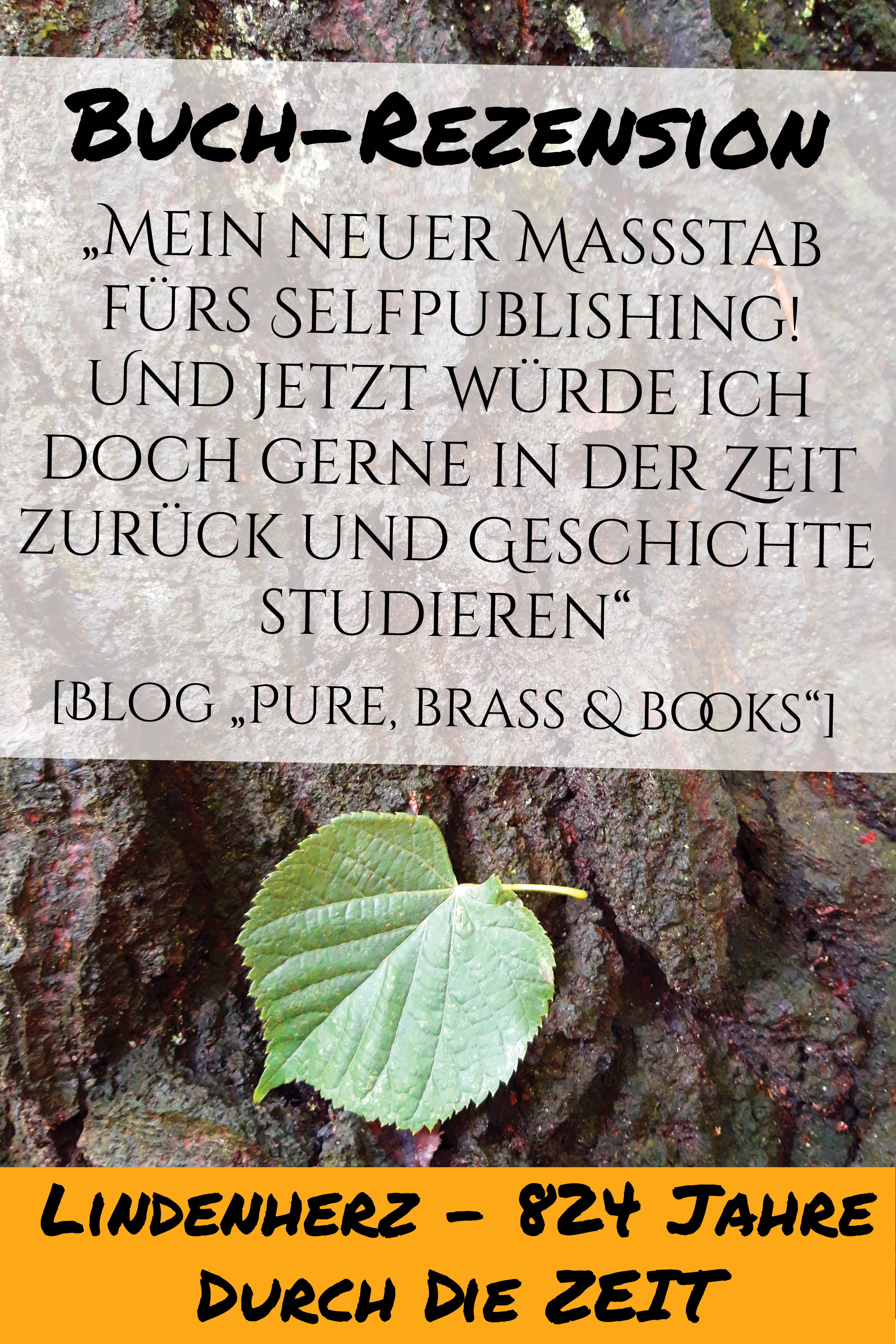 "Mein neuer Maßstab für Selfpublishing! Und jetzt würde ich doch gerne in der Zeit zurück und Geschichte studieren." (Blog "Pure, Brass & Books)