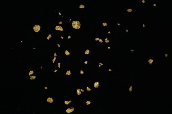 Goldglimmer auf schwarzem Grund (Foto: Bild von Hans auf Pixabay)