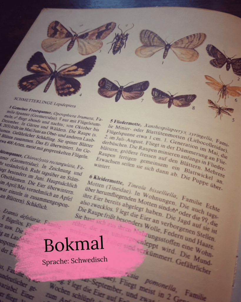 Foto einer Seite in einem Tierbuch mit Motten