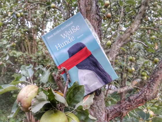 Buch "Weiße Hunde" im Ast eines Apfelbaums