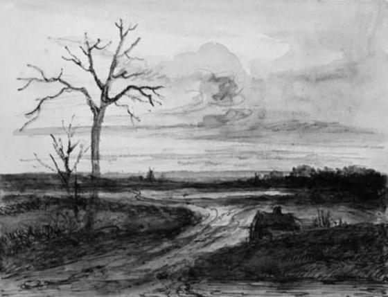 Zeichnung i grau mit Weg und blattlosem Baumgerippe